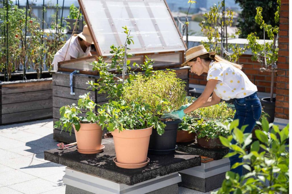 Outdoor Spaces: Balcony Gardens with Urban Flair