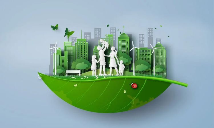 Environmental Sustainability in Engineering: The Road Ahead